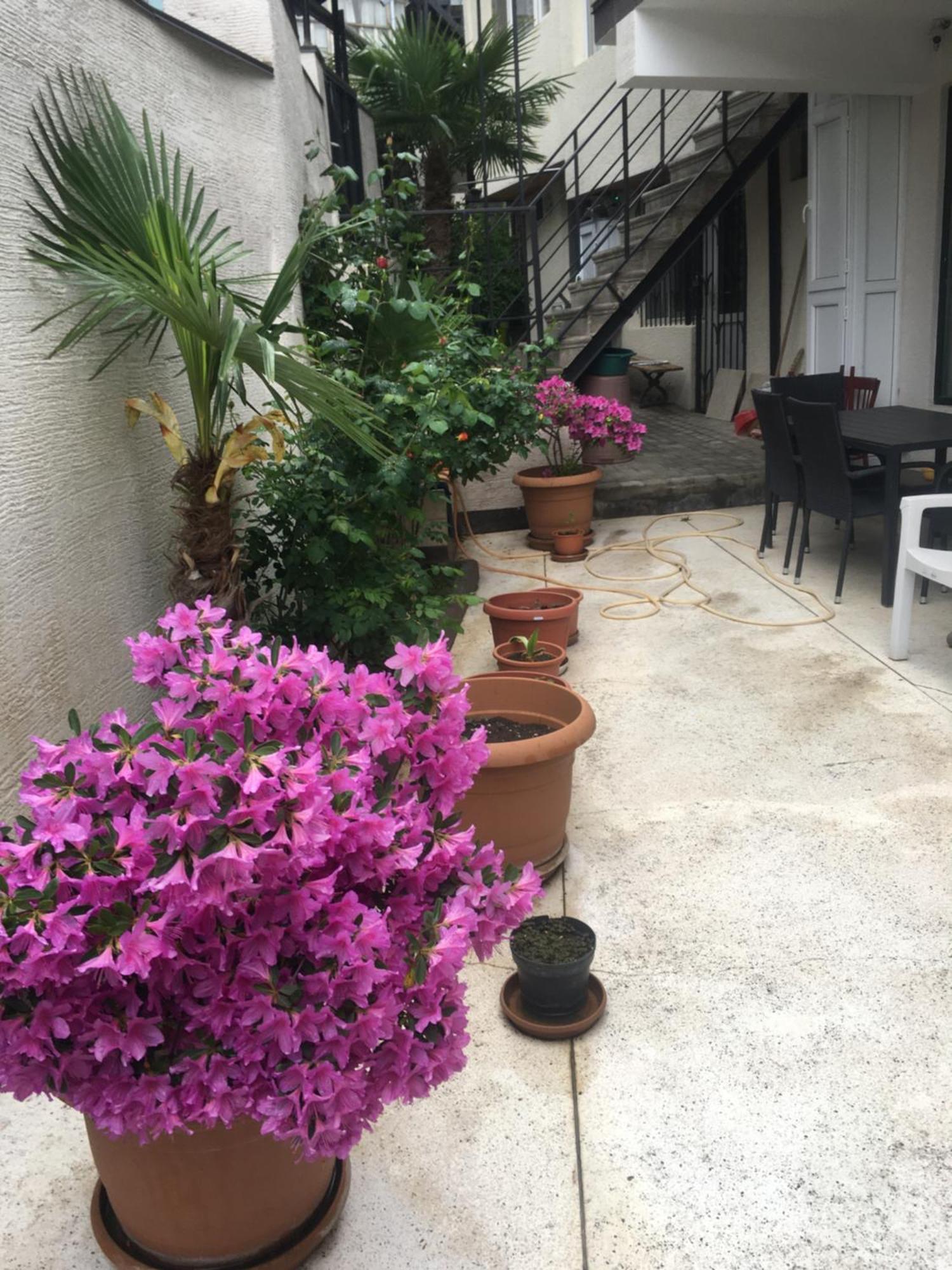 10 Shindisi Street,Tbilisi Apartamento Exterior foto